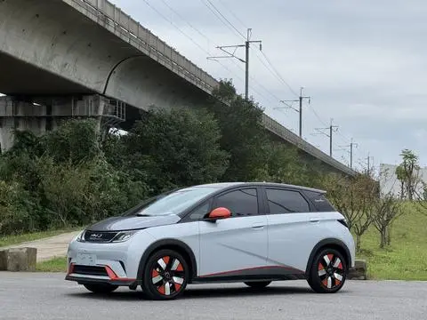 BYD Dolphin 2021