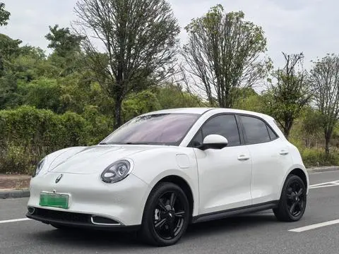 ORA 好猫 2024