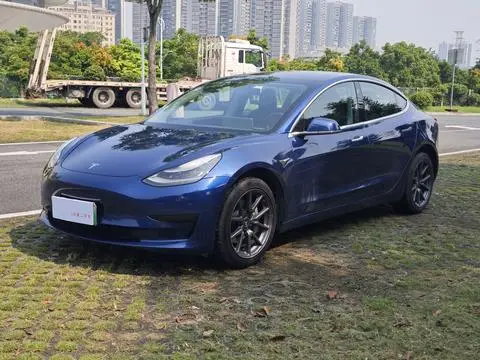 Tesla Model 3 2019