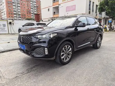 Wey VV6 2020