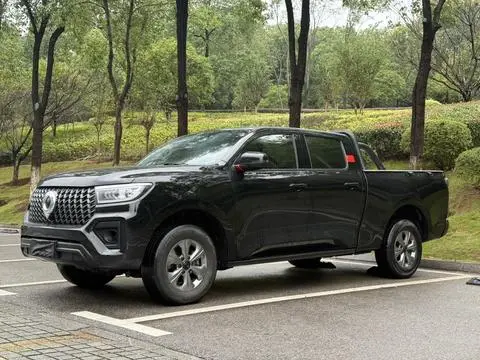 Great Wall 炮 2023