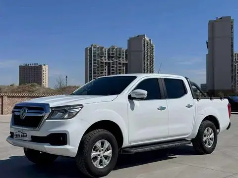 Dongfeng 锐骐6 2019