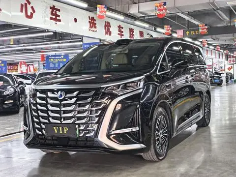 Denza D9 DM 2025
