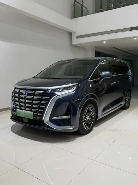 Denza D9 DM 2022