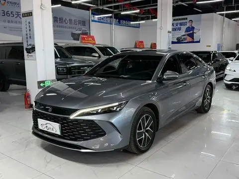 BYD 秦L DM 2024