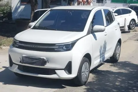 LETIN 芒果Pro 2022