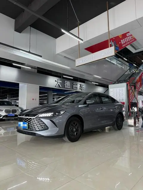 BYD 秦PLUS DM 2025