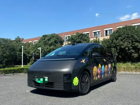 Li MEGA 2024