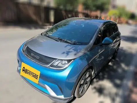 BYD Dolphin 2021
