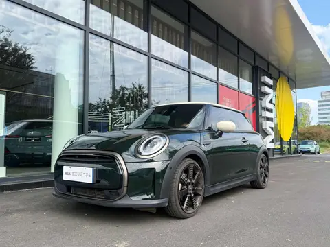MINI MINI 2022