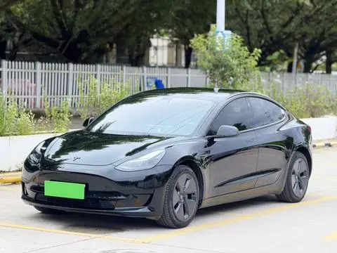 Tesla Model 3 2021 — фото 1