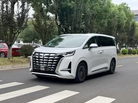 Denza D9 DM 2022