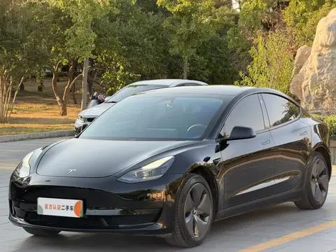Tesla Model 3 2021 — фото 1