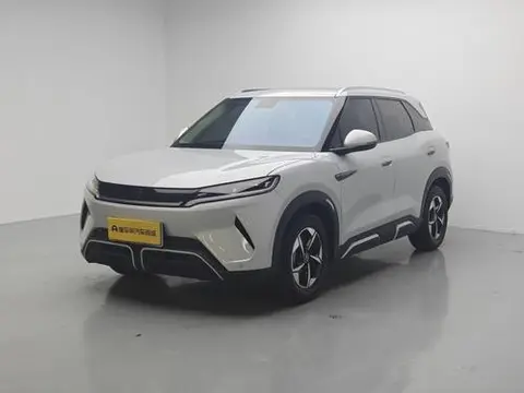 BYD 元UP 2024