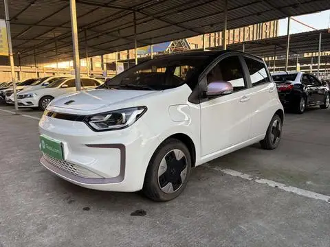 JAC (Sihao) 花仙子 2022
