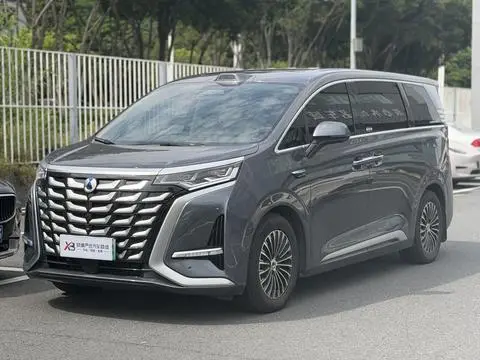 Denza D9 DM 2025