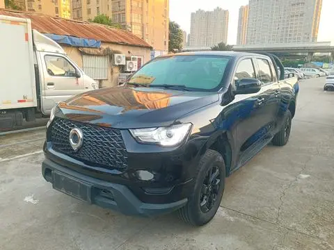 Great Wall 炮 2021