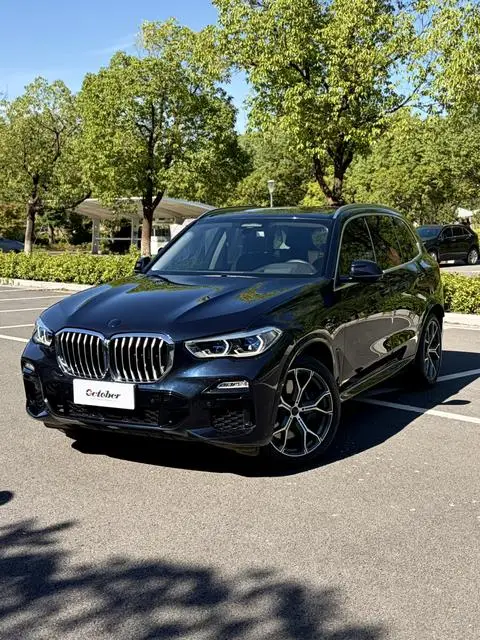 BMW X5 2019