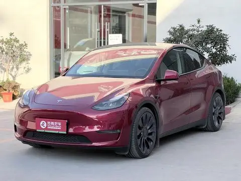 Tesla Model Y 2024 — фото 1
