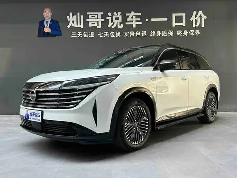 Nissan 探陆 2024