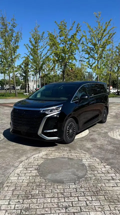 Denza D9 DM 2022