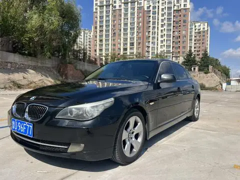 BMW 5 Series 2010