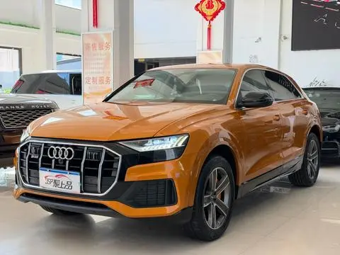 Audi Q8 2019