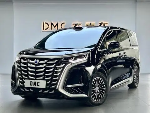 Denza D9 DM 2025
