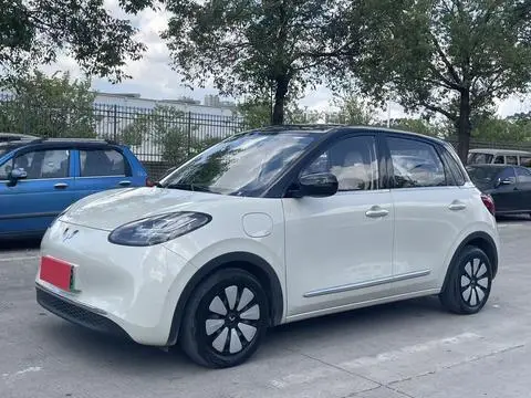 Wuling Bingo 2024