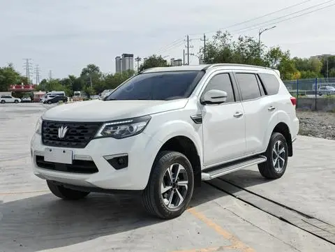 Dongfeng 帕拉丁 2024 — фото 1