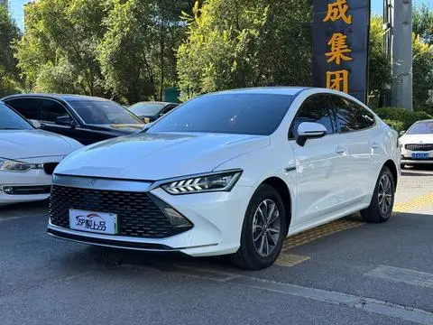 BYD 秦PLUS DM 2024