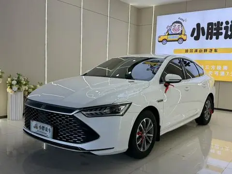BYD 秦PLUS DM 2024 — фото 1