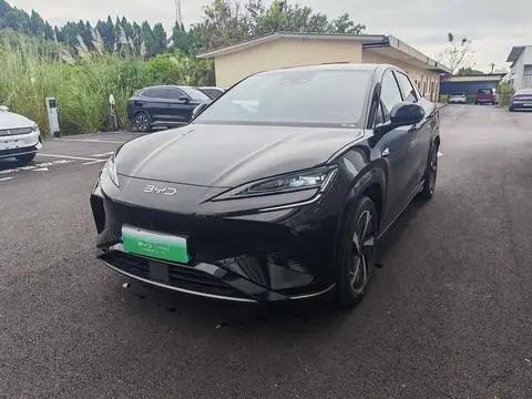 BYD 海狮07EV 2024