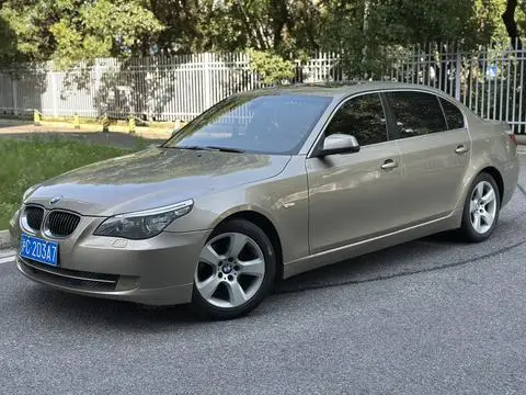 BMW 5 Series 2010