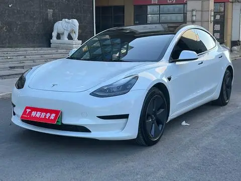 Tesla Model 3 2021 — фото 1