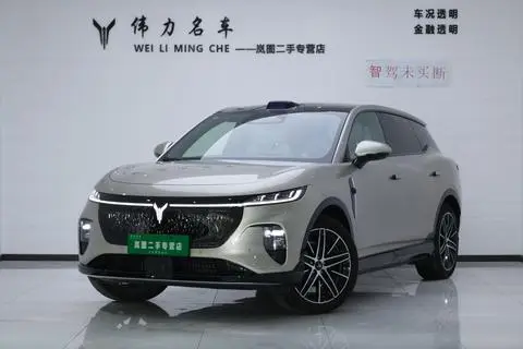 Voyah 知音 2025