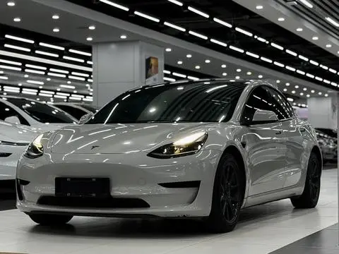Tesla Model 3 2021 — фото 1