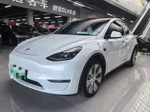Tesla Model Y 2021 — фото 1
