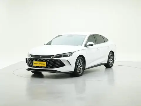 BYD 秦L DM 2024