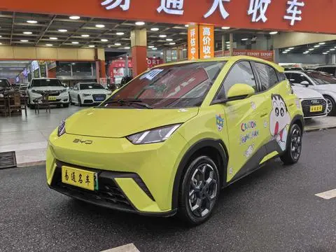 BYD Seagull 2024