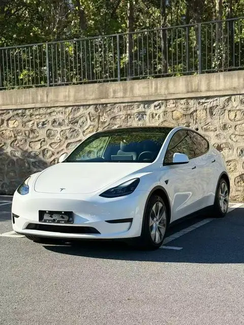 Tesla Model Y 2022 — фото 1