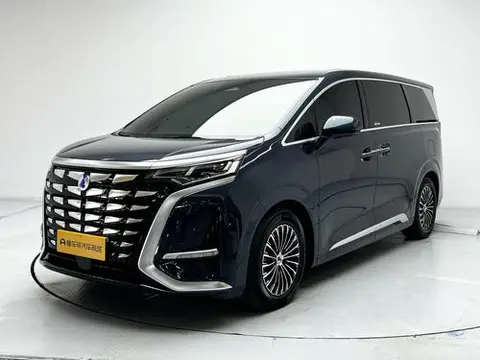 Denza D9 DM 2022