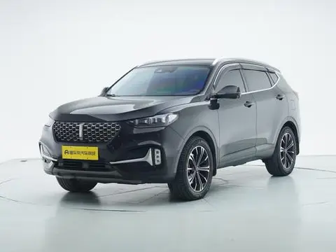 Wey VV6 2021