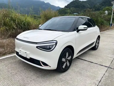 Dongfeng 纳米01 2024