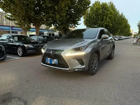 Lexus NX 2020 — фото 1