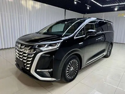 Denza D9 DM 2025