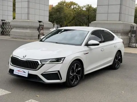 Skoda 明锐 2022