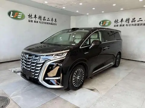 Denza D9 DM 2025