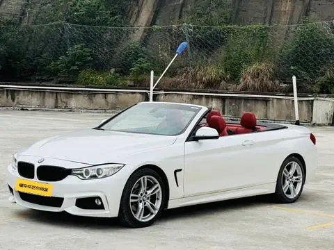BMW 4 Series 2014