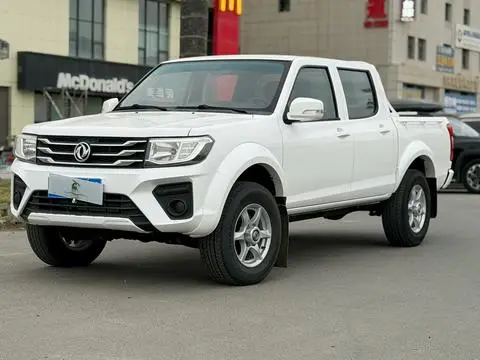 Dongfeng 锐骐 2021
